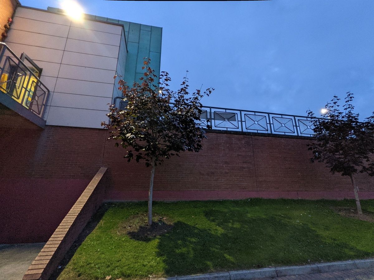 Pixel 5 tree stairs wide