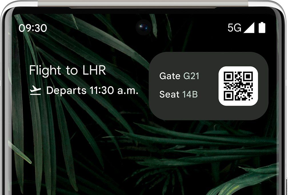 Live Space widget with Flight Card