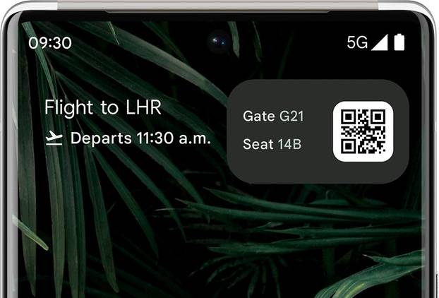 Live Space widget with Flight Card