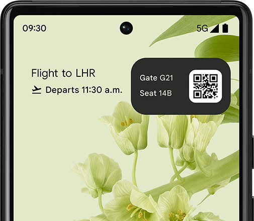 Live Space widget with Flight Card