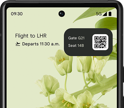 Live Space widget with Flight Card
