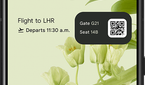 Live Space widget with Flight Card