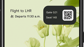 Live Space widget with Flight Card