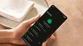 Pixel 6 Security app
