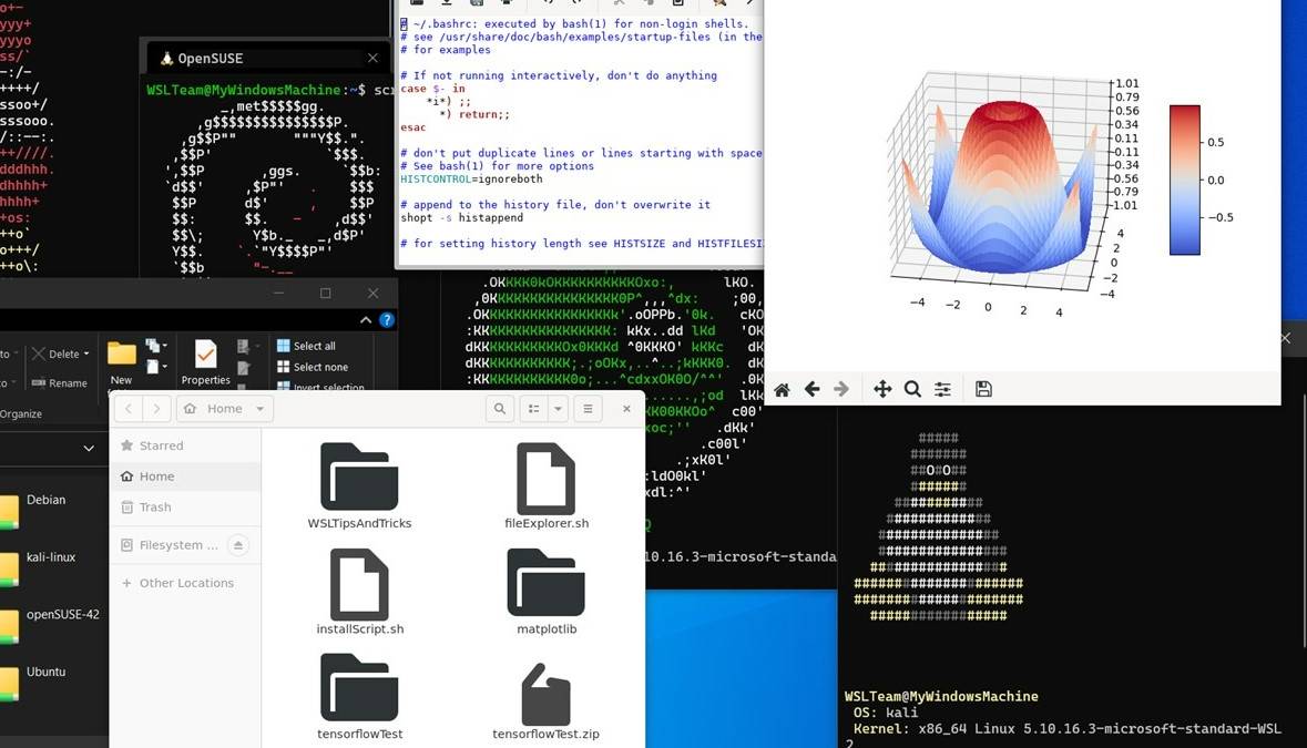 WSL on Windows 11