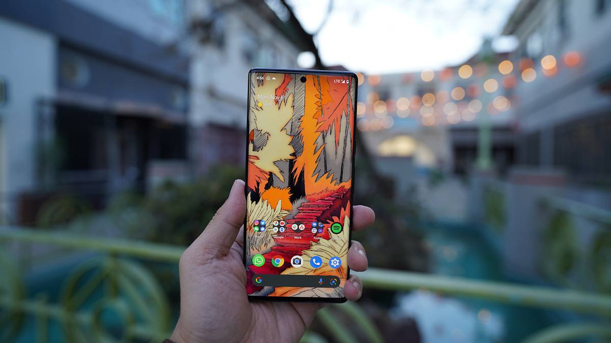 Google Pixel 6 Pro in hand