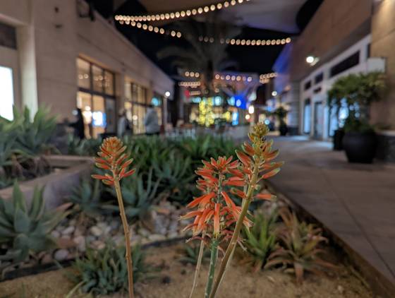 Pixel 6 shot