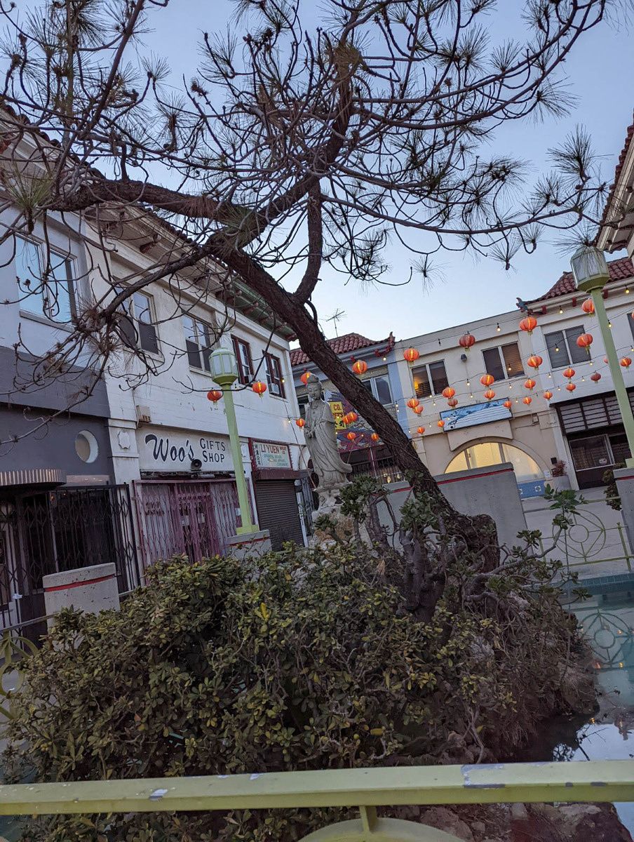 Pixel 6 Pro, zoom