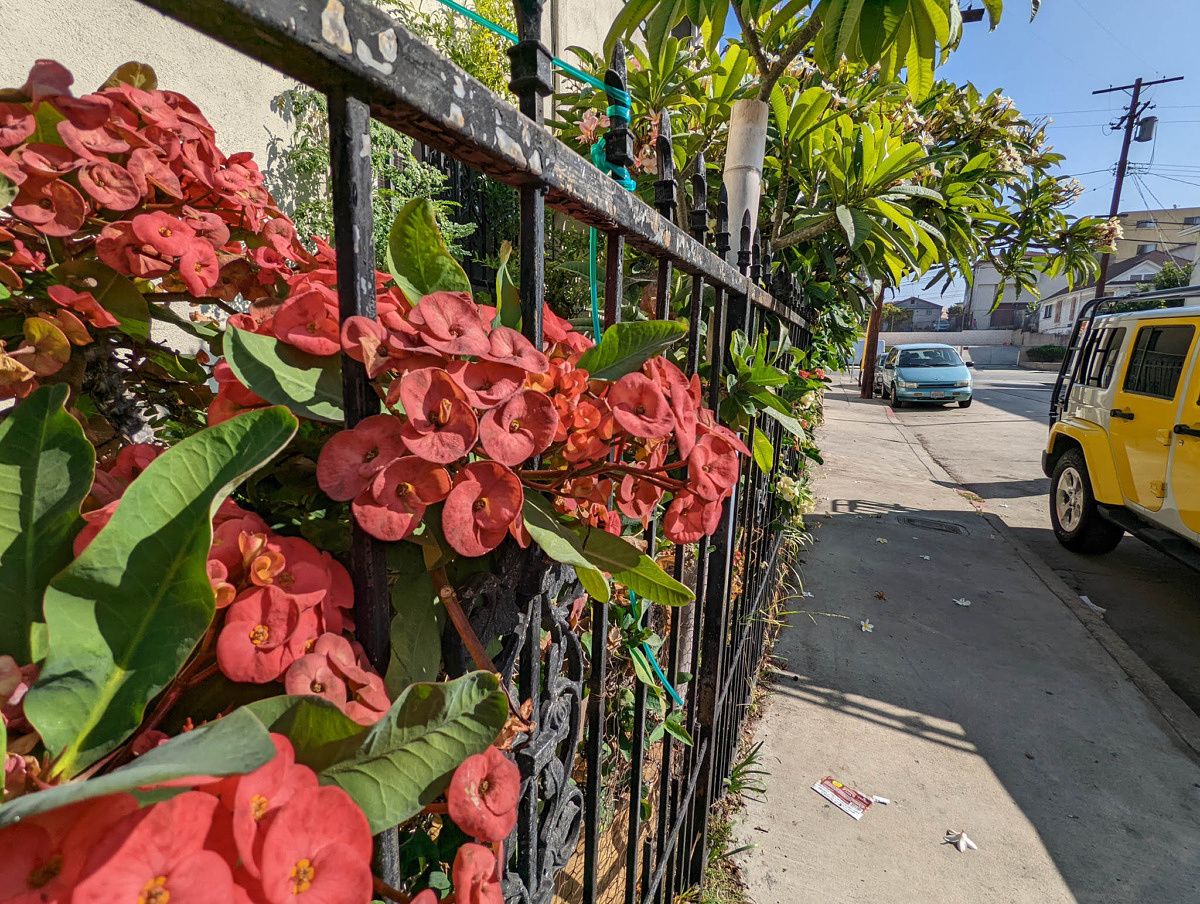 Pixel 6 Pro, ultra-wide