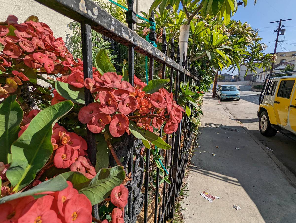 Pixel 6 Pro, ultra-wide