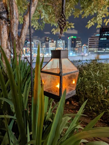 Pixel 6 Pro