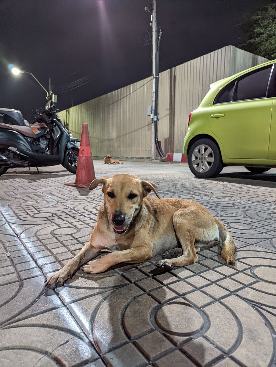 Pixel 6 Pro photo sample