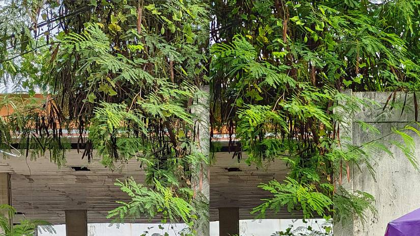 Pixel 6 Pro (left); X70 Pro Plus (right)