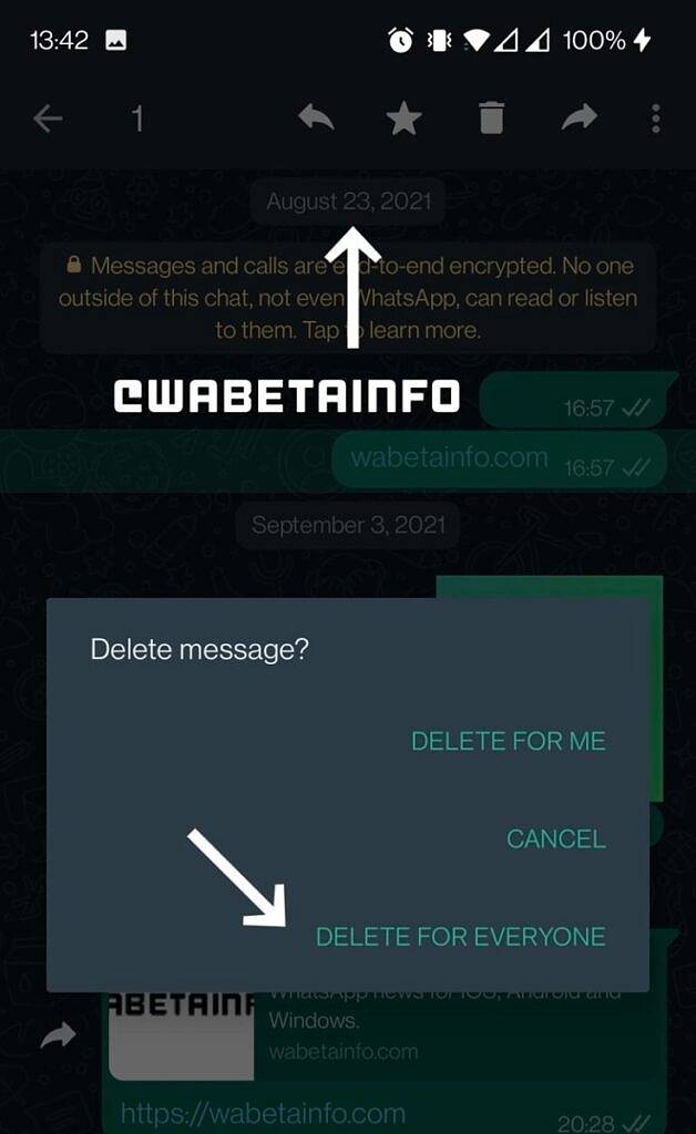WhatsApp screenshot showing a "delete for everyone" button on a message from September