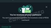 Payments screen in WhatsApp