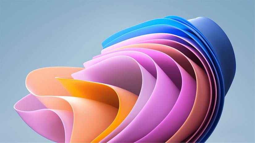 Windows 11 SE Bloom wallpaper