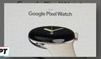 Supposed Pixel Watch internal render