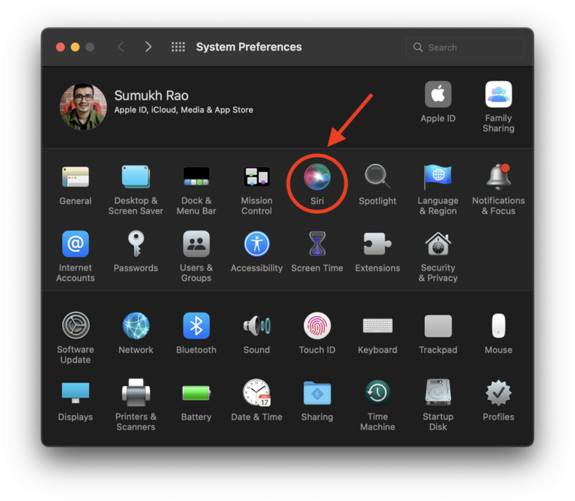 System Preferences Siri settings