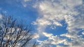 Galaxy S21 FE