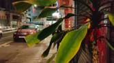 photo sample