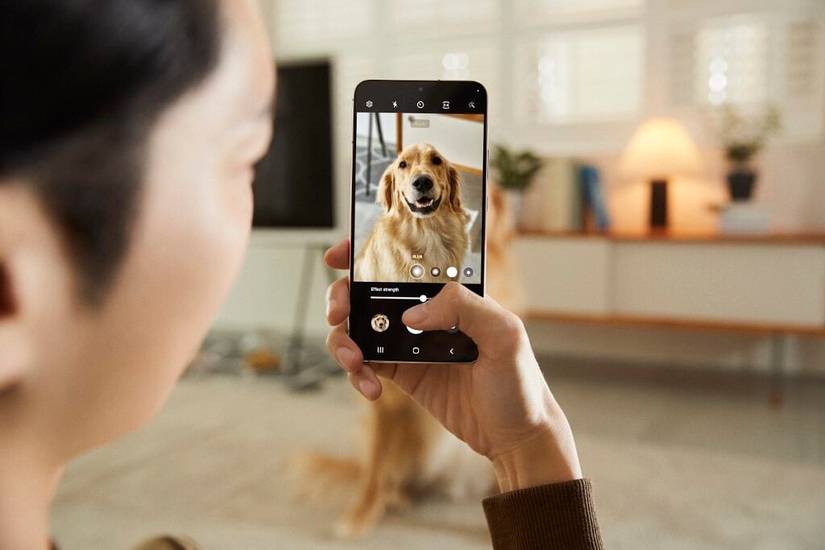 Pet portrait on the Galaxy S22 Plus