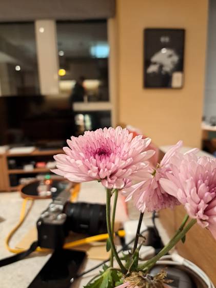 Galaxy A53, main camera