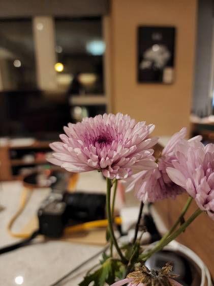Galaxy S22 Ultra, main camera
