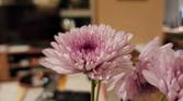 Galaxy S22 Ultra, main camera