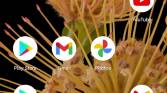 Android 13 wallpaper dimming feature in action