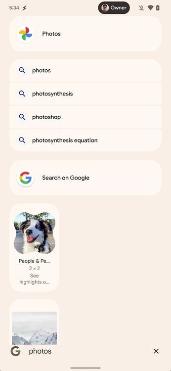 Pixel Launcher search