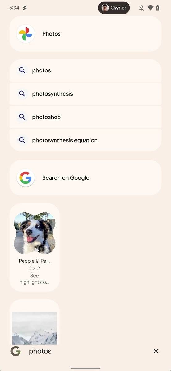 Pixel Launcher search