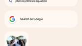 Pixel Launcher search