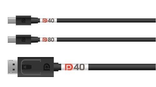 VESA DP40 and DP80 cables