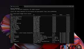 Search results for "browser" inWindows Package Manager