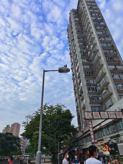 Vivo X80 Pro sample