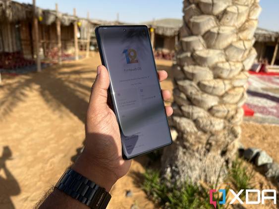 Vivo X80 Pro screen