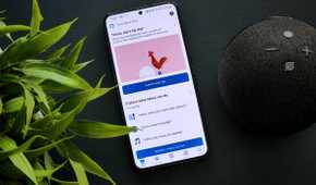 An image with the Amazon Alexa app open on a Galaxy S22 phone that's kept next to an Amazon Echo dot speaker and a green plant