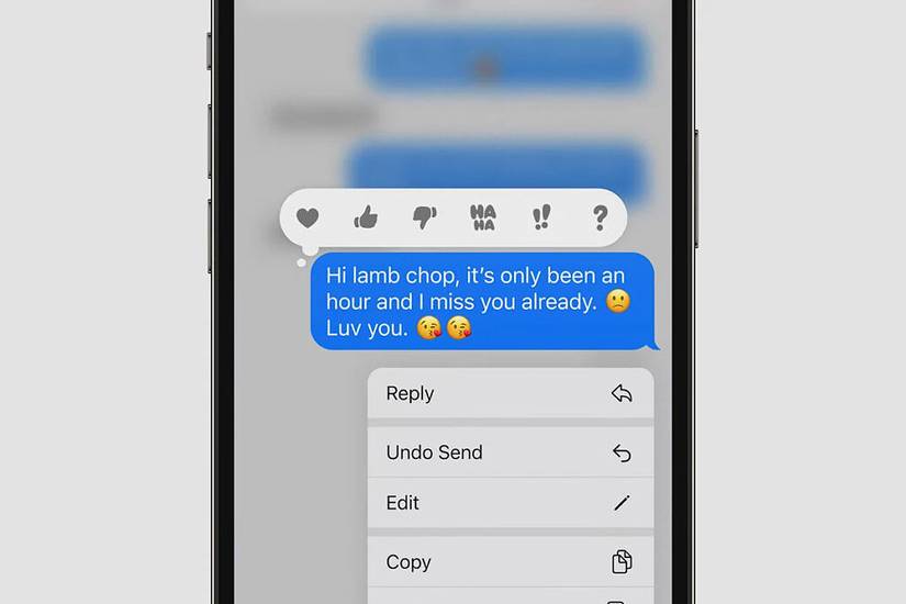 Undo send feature in Apple Messages app