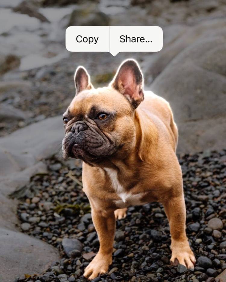 iOS 16