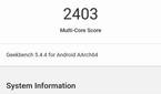 Google Pixel 6a Geekbench 5