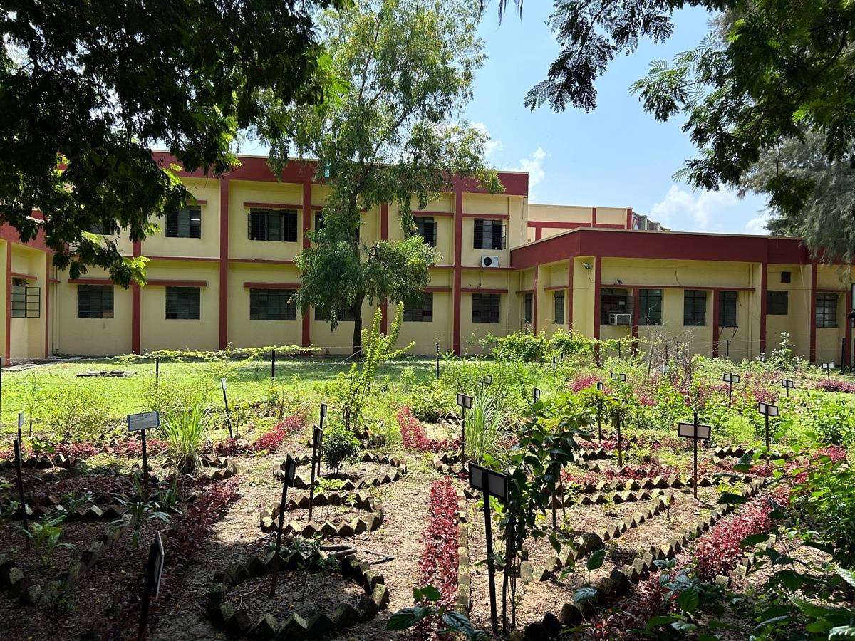 A shot of garden from iPhone 14's main camera