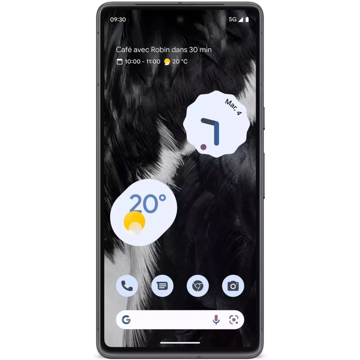 Google Pixel 7 display on white background.