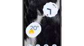 Google Pixel 7 display on white background.
