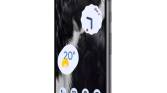 Google Pixel 7 side view on white background.
