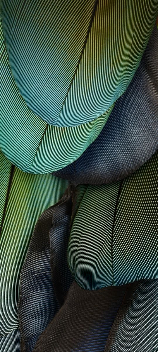 Google Pixel 7 wallpaper.
