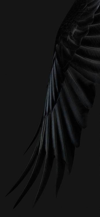 Pixel 7 Pro wallpaper.
