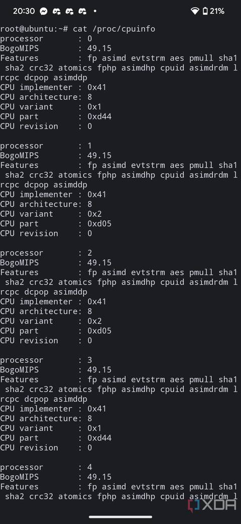 Showing the output of cpuinfo on Ubuntu running through Nestbox on the Google Pixel 7
