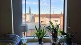 oneplus nord n300 photo sample