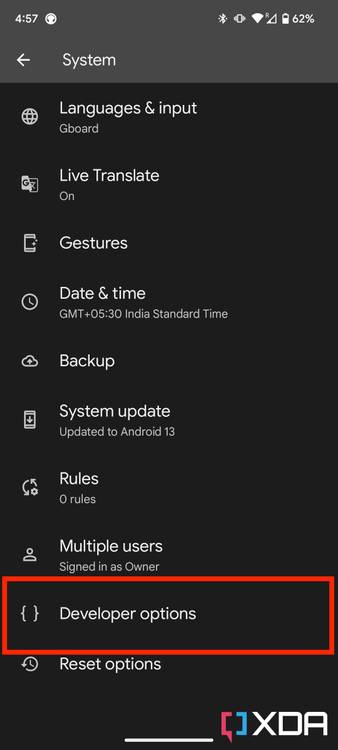 Developer options within settings page
