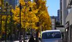 IMG_20221215_111607